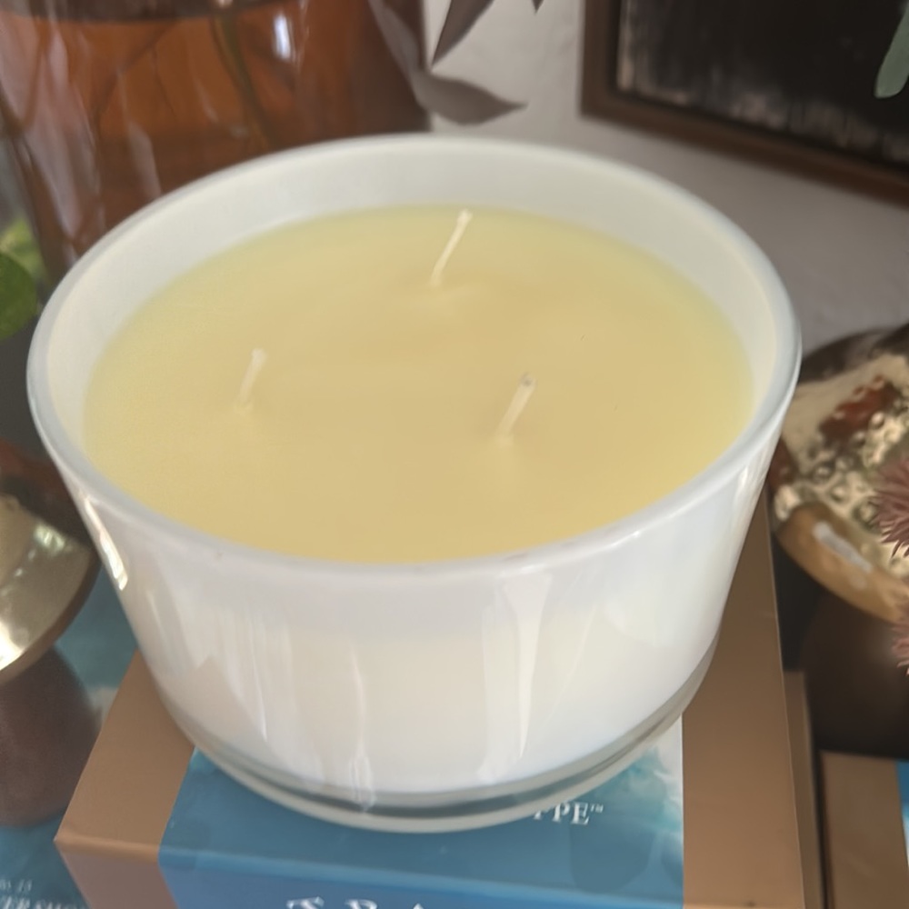 TRAPP FRAGRANCES No. 13 Bob's Flower Shoppe 16 oz. 3-Wick Candle ๐๐ - Picture 4 of 6